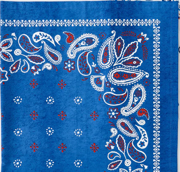 American Holiday Picnic Cloth