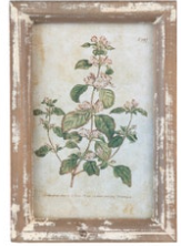 French Farm Collected Prints