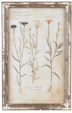 French Farm Collected Prints