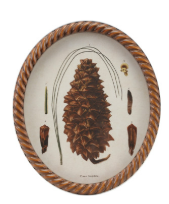 Twisted Framed Glass Wall Decor with Pinecone Image, 4 Styles
