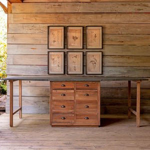 Botanist's Work Bench
