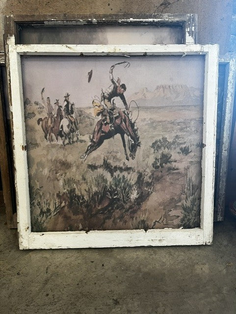 Bronc