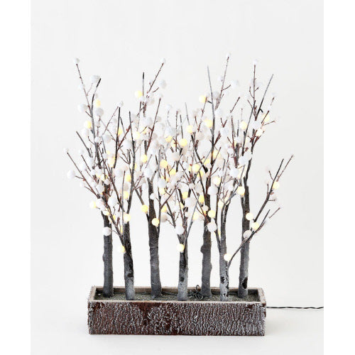 Planter Box w/Lighted White Trees
