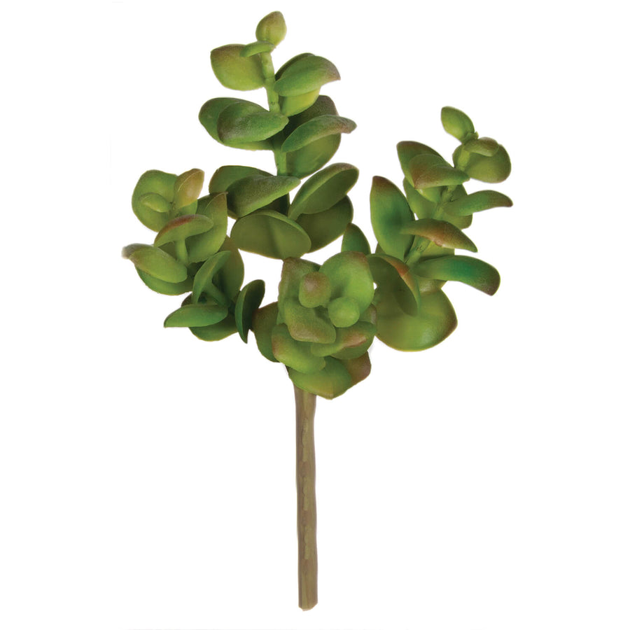 Jade Succulent Pick