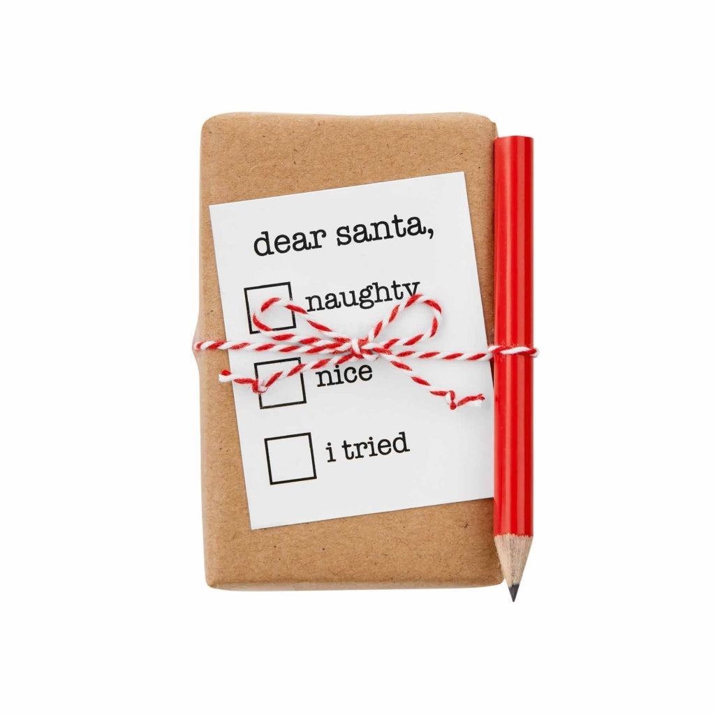 Funny Holiday Soap