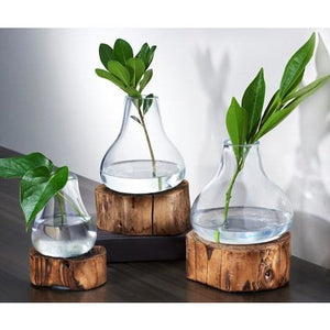 Glass Vase on Wooden Base