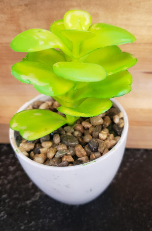 Artificial Potted Succulent in White pot