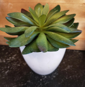 Artificial Potted Succulent in White pot