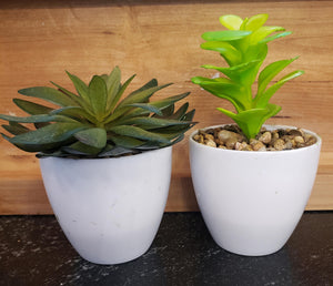 Artificial Potted Succulent in White pot