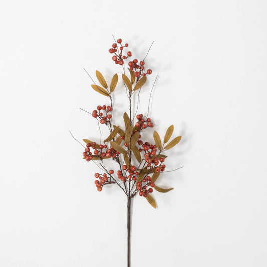 ORANGE BERRY LEAF SPRAY