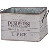 Bin Set - Fresh Pumpkins, Fresh Gourds
