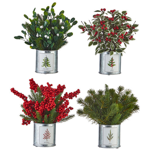 Holiday Botanical Arrangement