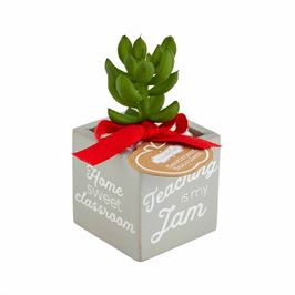 Teacher Sentiment - Faux Succulent