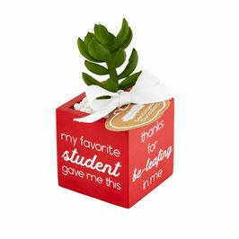 Teacher Sentiment - Faux Succulent