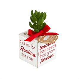Teacher Sentiment - Faux Succulent