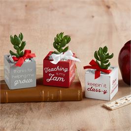 Teacher Sentiment - Faux Succulent