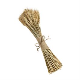 Dried Wheat Bundle