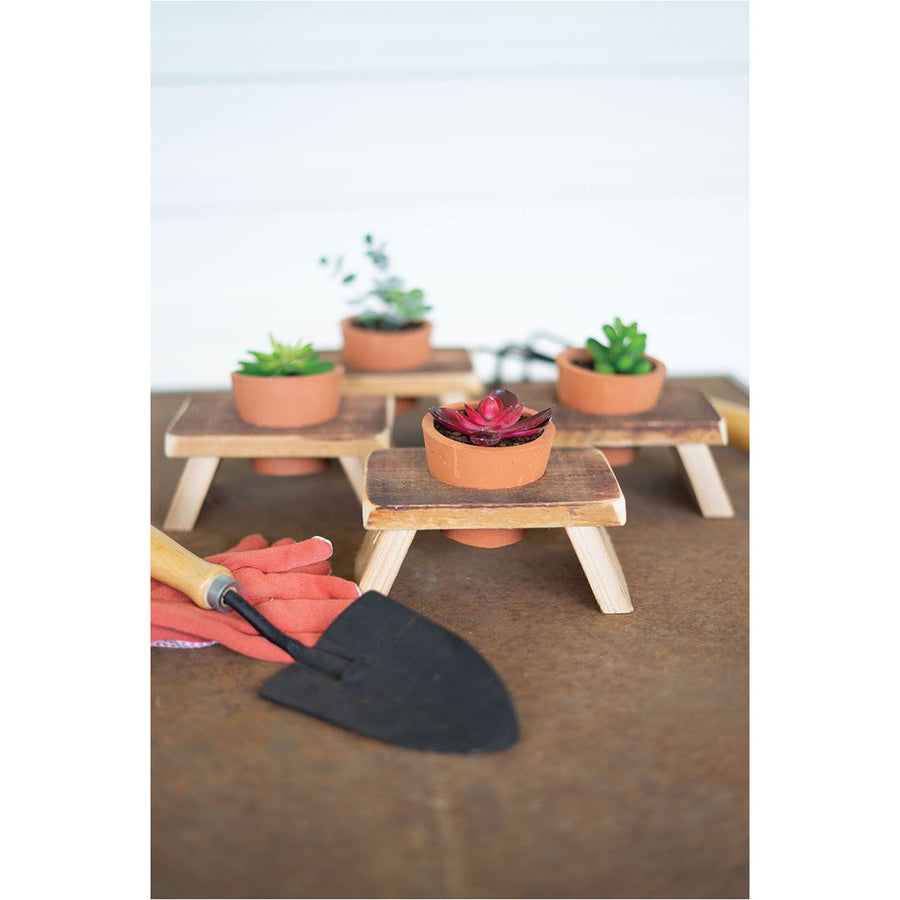 Terracotta Flower Pot with Wood base