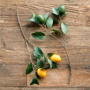 Citrus Branch - Lemon and Lime