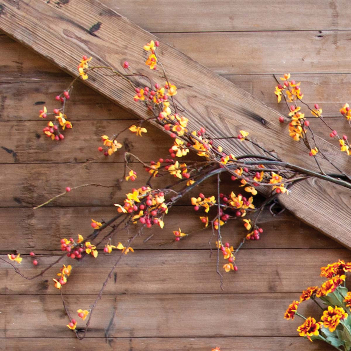 Bitter Sweet Fall Stem