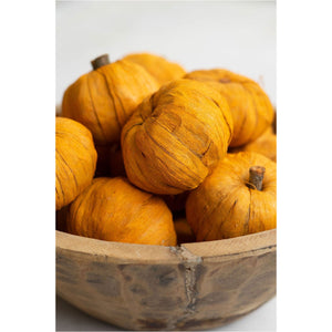 Dried Orange Miniature Pumpkins