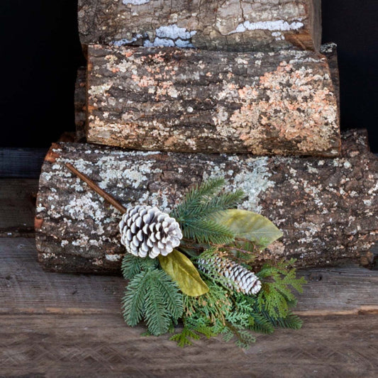 Winter Evergreen Pick