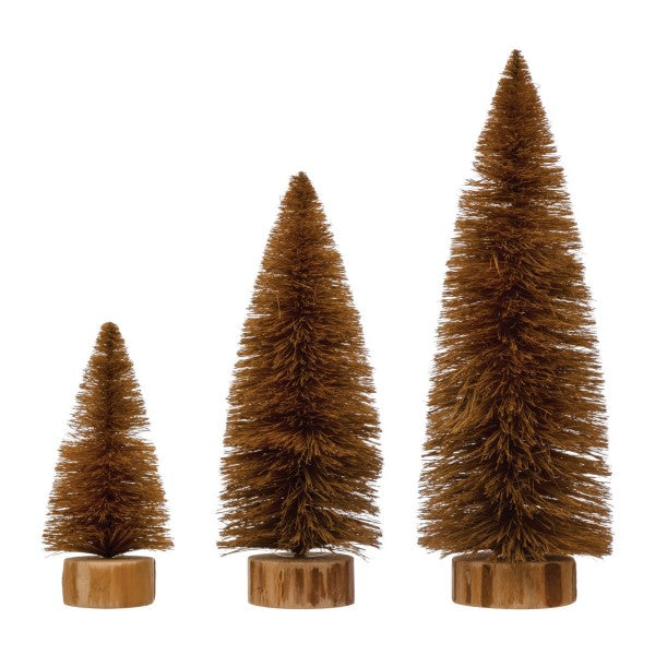 Sisal Bottle Brush Trees with Wood Bases