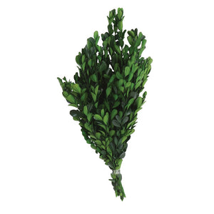 Dried Natural Boxwood Bunch