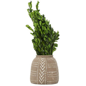 Dried Natural Boxwood Bunch