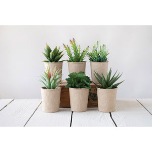 Faux Succulents