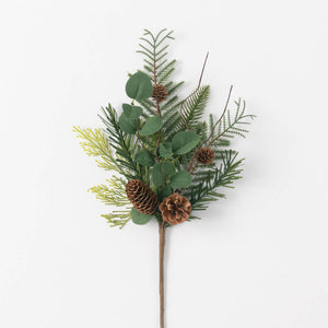 PINE EUCALYPTUS PICK