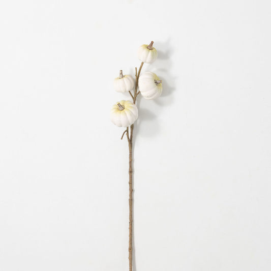 WHITE MINI PUMPKIN STEM