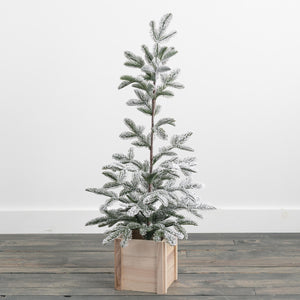 Snowy Pine Tree