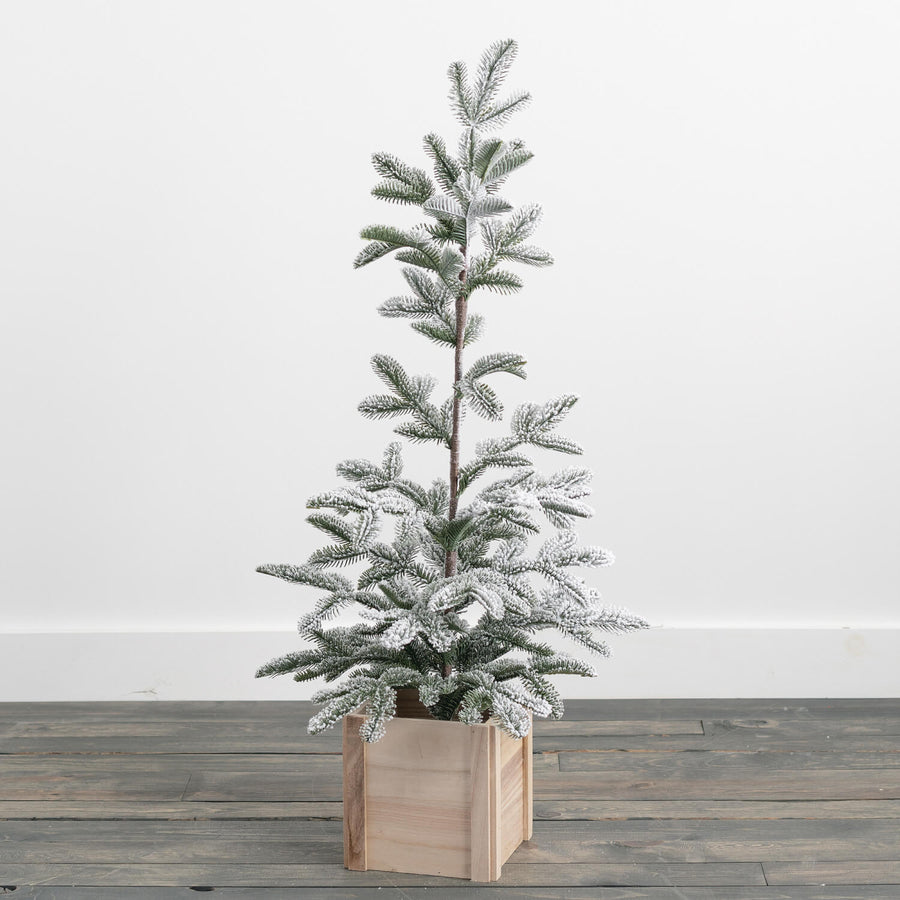 Snowy Pine Tree
