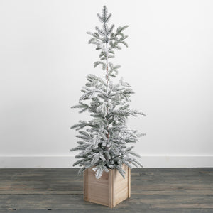 Snowy Pine Tree