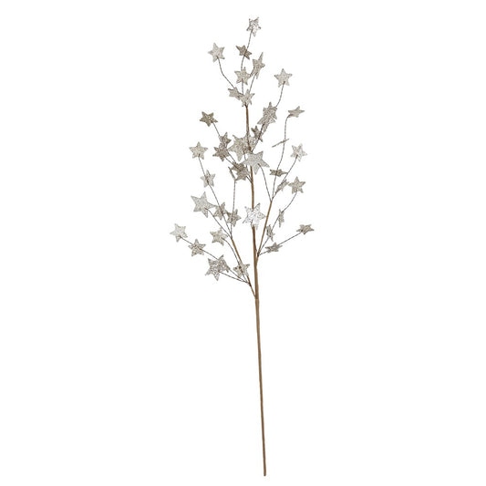 Glitter Star Spray Pick